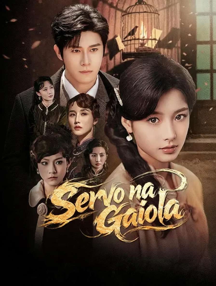 Servo na Gaiola